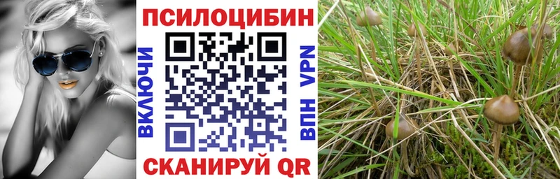 Купить закладки  Усолье  Псилоцибиновые грибы Psilocybine cubensis 